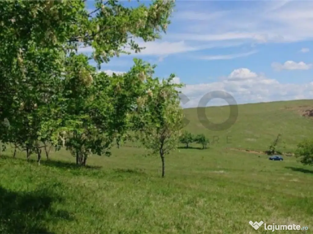 Reco Teren extravilan Tileagd 