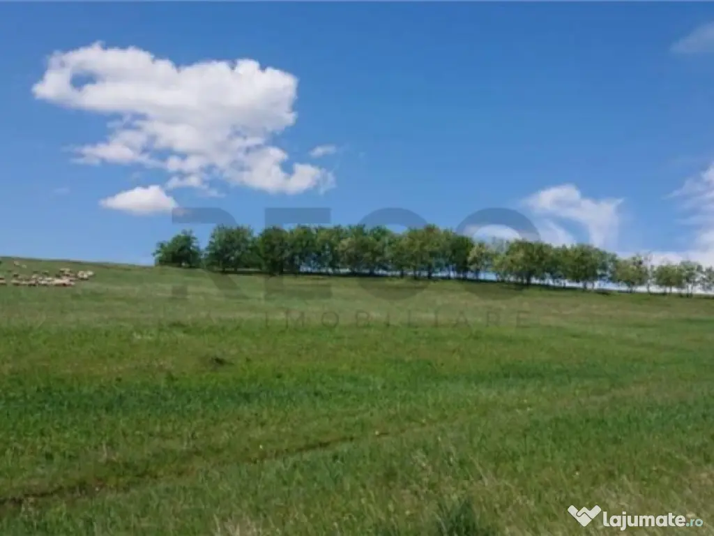 Reco Teren extravilan Tileagd 