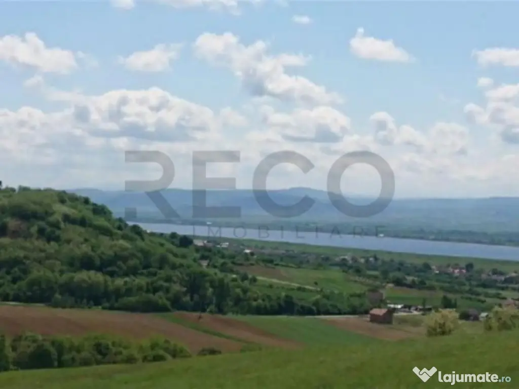 Reco Teren extravilan Tileagd 