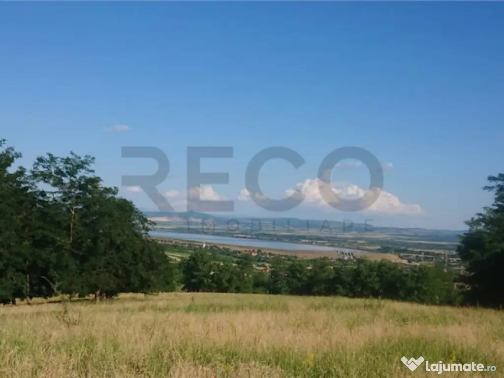 Reco Teren extravilan Tileagd 