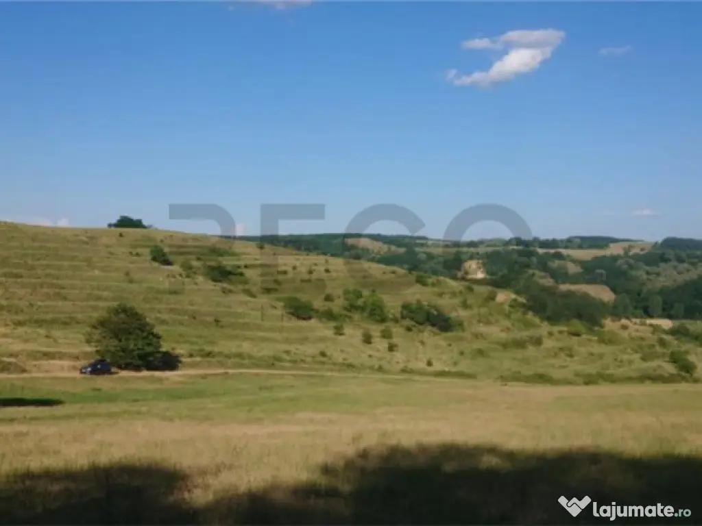 Reco Teren extravilan Tileagd 