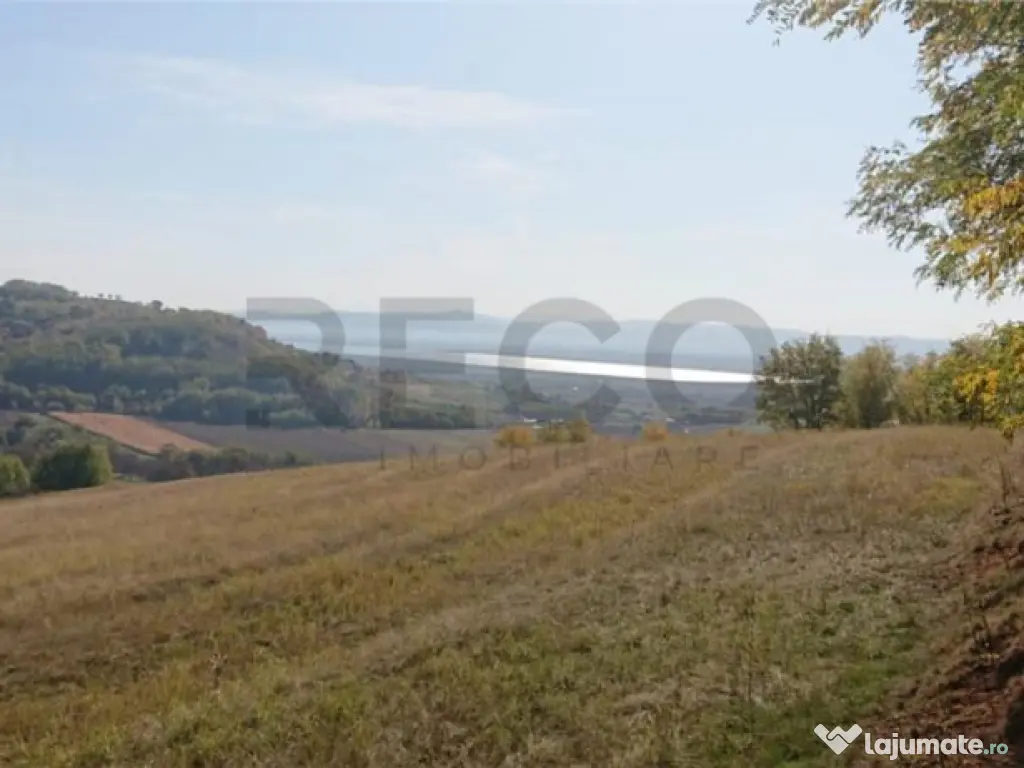 Reco Teren extravilan Tileagd 