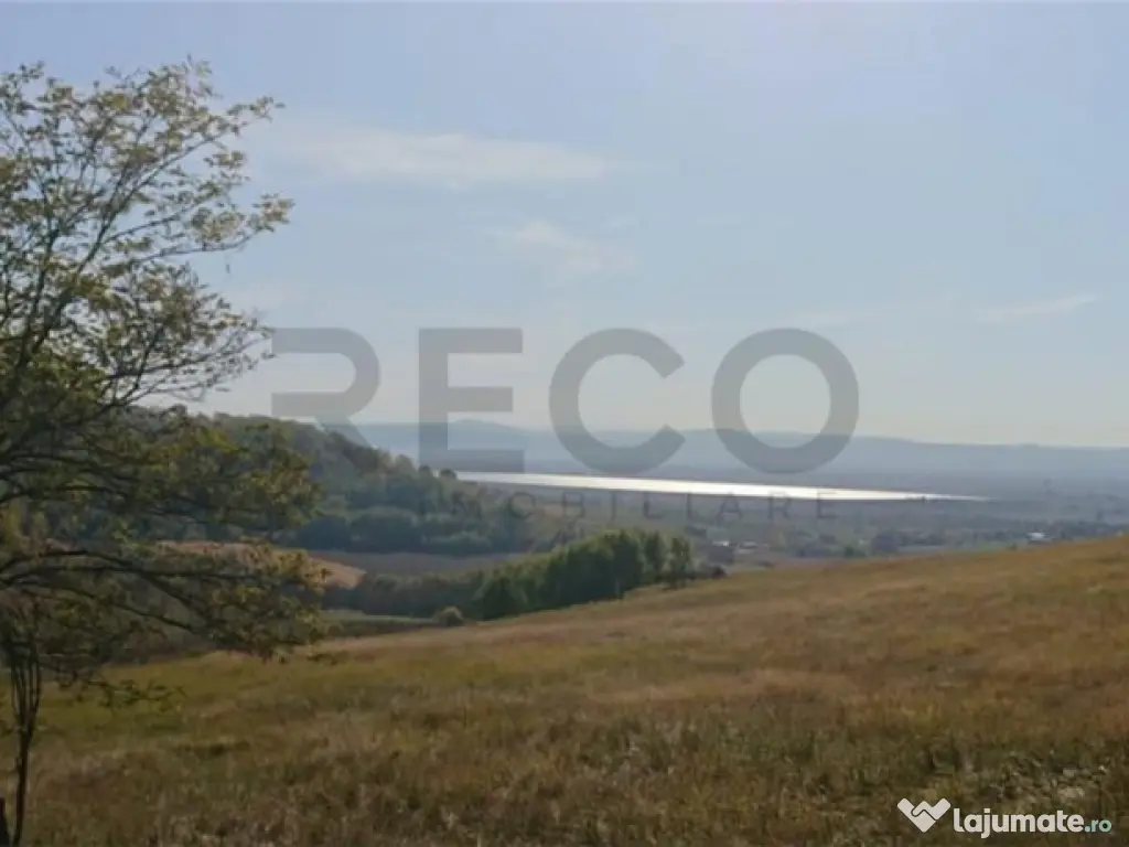 Reco Teren extravilan Tileagd 