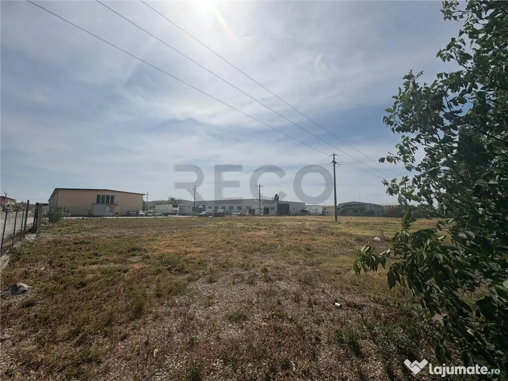 RECO Teren intravilan zona Borsului 5043 mp 