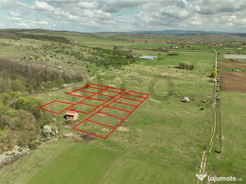 RECO , teren intravilan, Ineu,Bihor