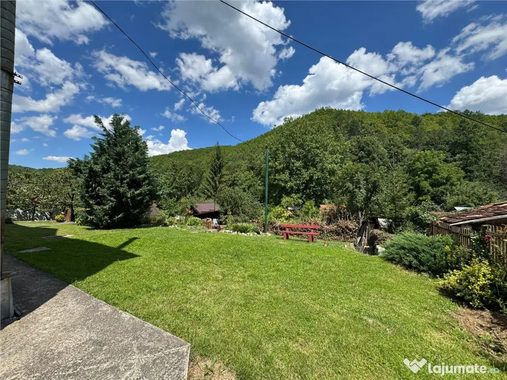 Reco Apartament Padurea Neagra 