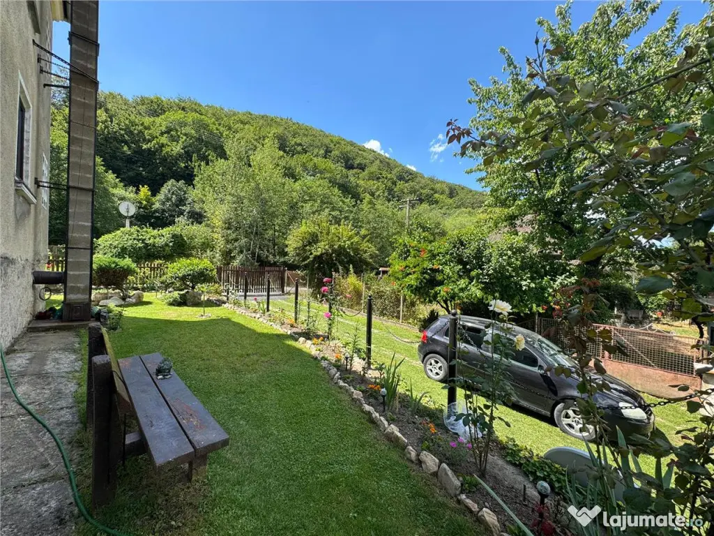 Reco Apartament Padurea Neagra 