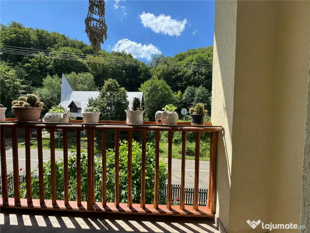 Reco Apartament Padurea Neagra 