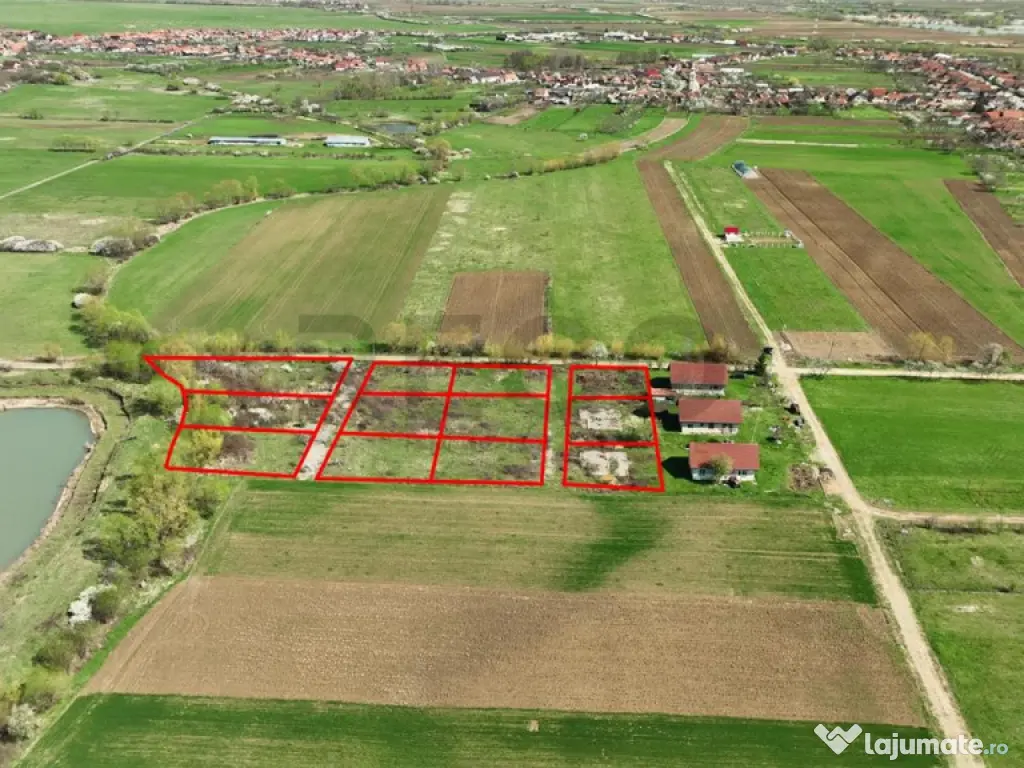 RECO , teren intravilan, Ineu,Bihor