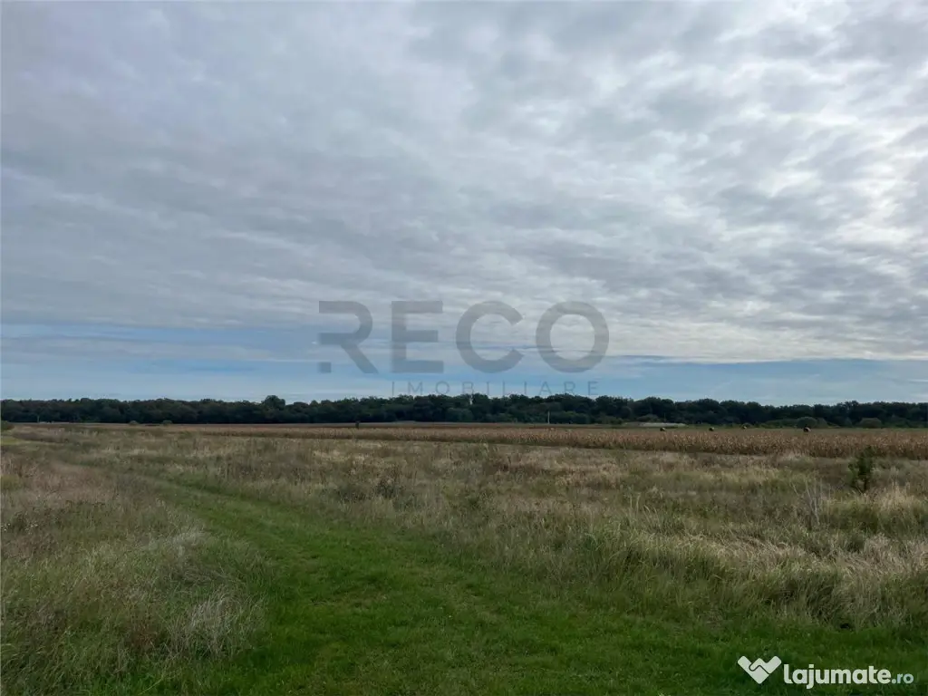 RECO Teren intravilan zona BEVERLY HILLS 