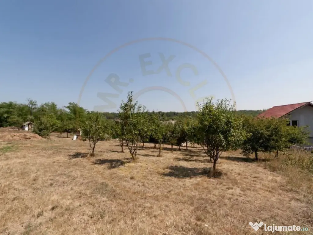 Casa Podul Broșteni- Arges! 