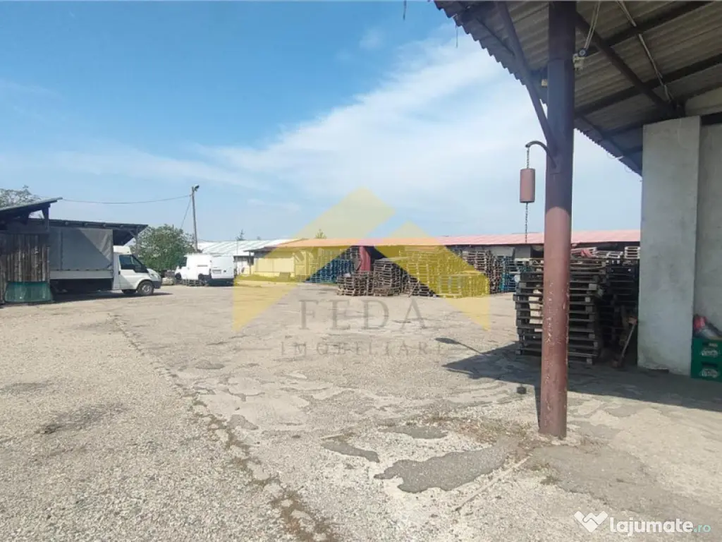 Teren 1,8 ha plus cladiri de in localitatea Sebis, Arad