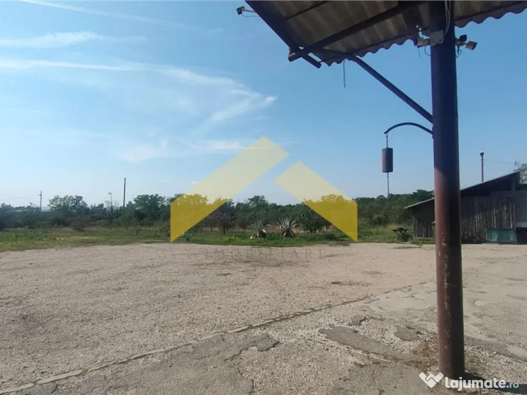 Teren 1,8 ha plus cladiri de in localitatea Sebis, Arad