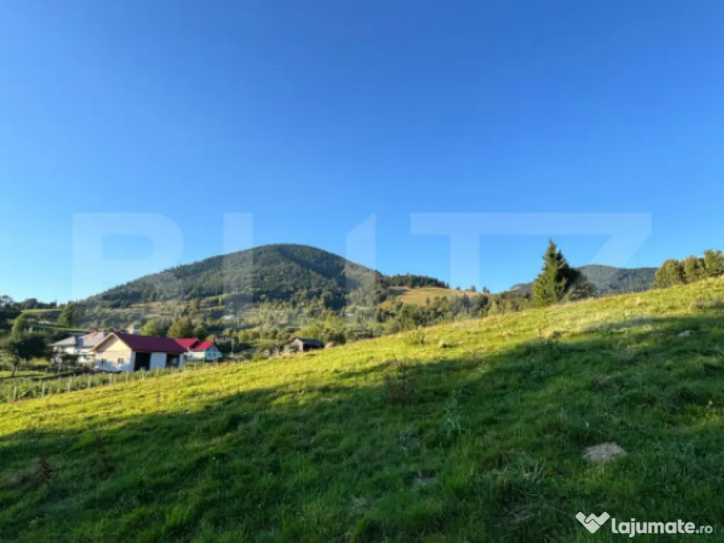 Teren de vânzare în Colibița – oportunitate de investi? 