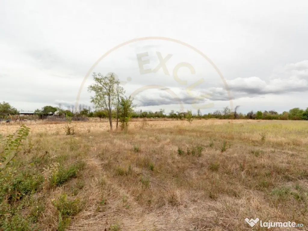 Teren intravilan 3000 mp, Oarja, Arges – amplasament excel