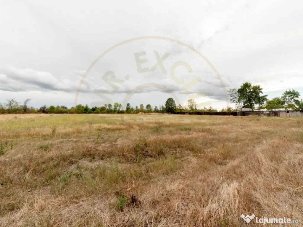 Teren intravilan 3000 mp, Oarja, Arges – amplasament excel