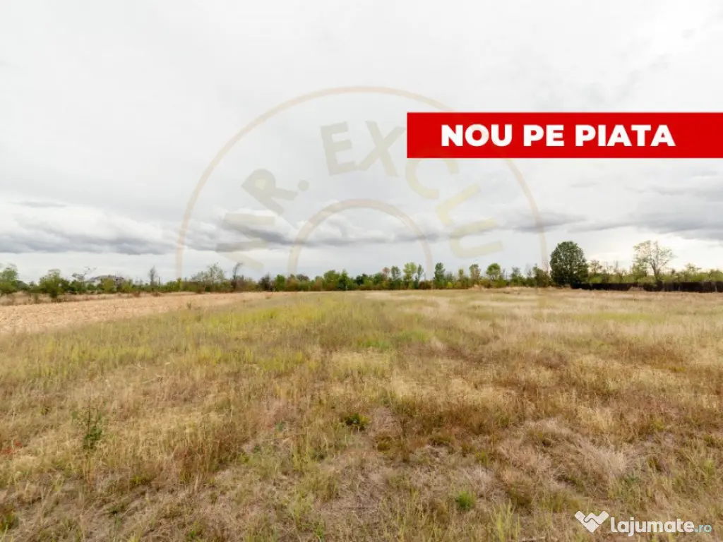 Teren intravilan 3000 mp, Oarja, Arges – amplasament excel