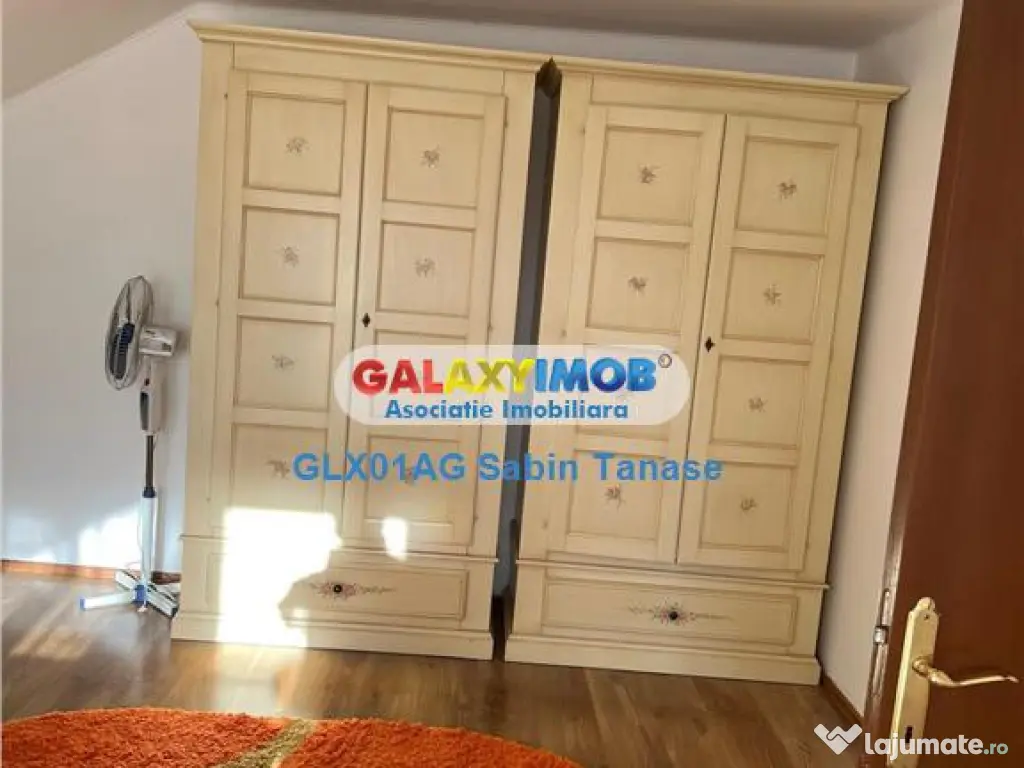 De inchirere vila Stefanesti Lidl ....curte amenajata ter 