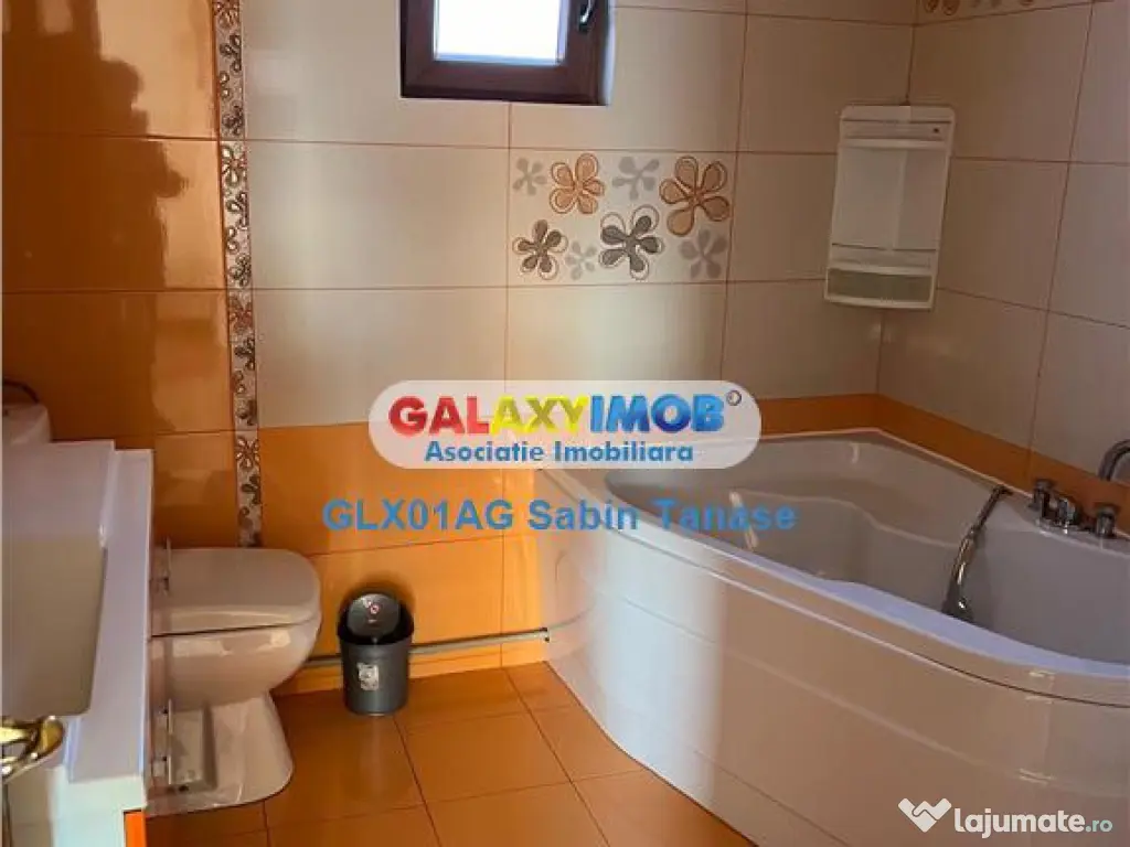 De inchirere vila Stefanesti Lidl ....curte amenajata ter 