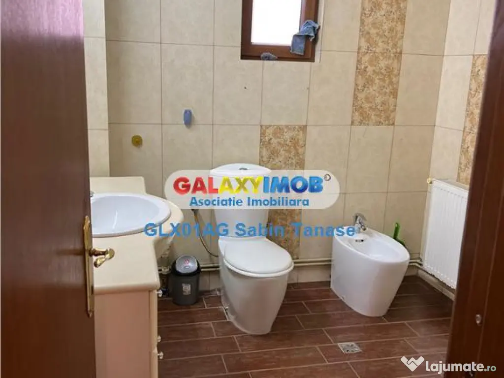 De inchirere vila Stefanesti Lidl ....curte amenajata ter 