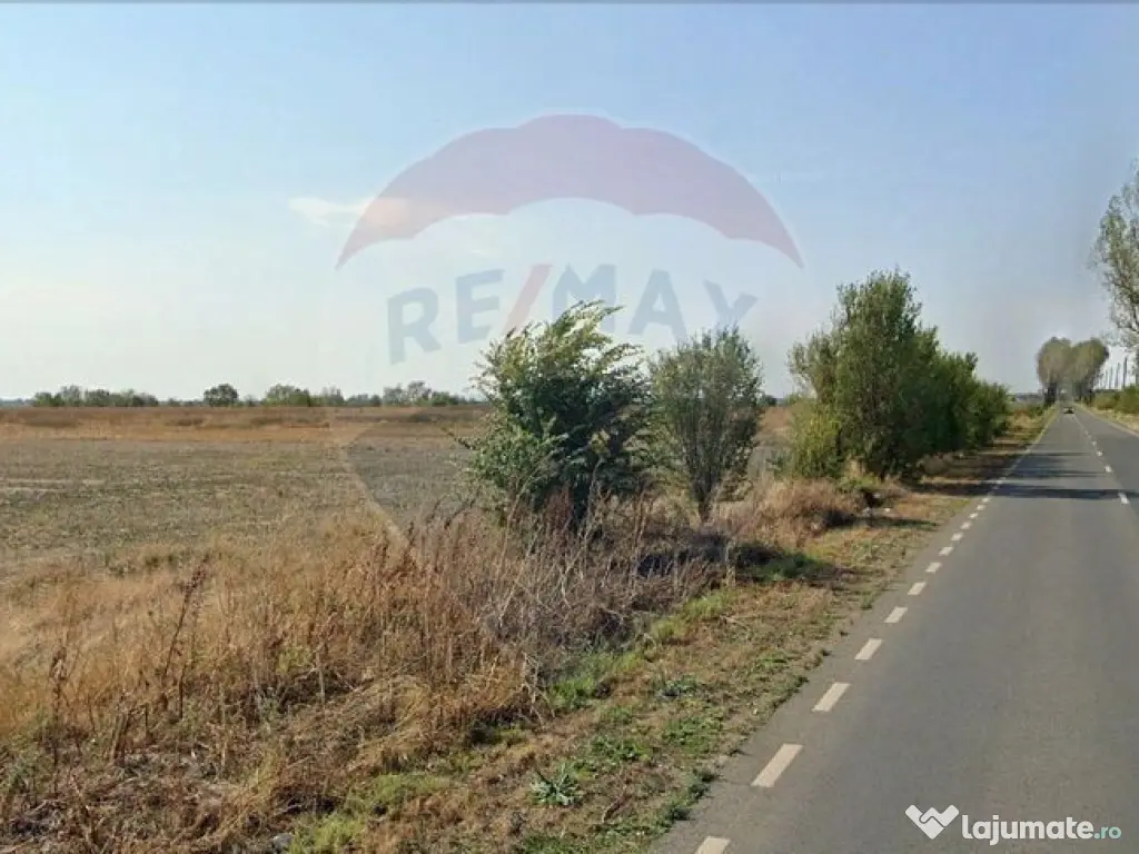 Teren intravilan 7.9 ha, Afumati, deschidere 120m, Soseau...