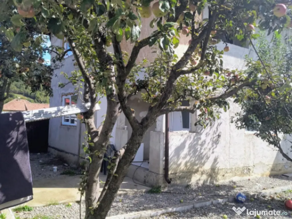 Casă renovată în Preluci la 12 Km de Comănesti , fântâ 