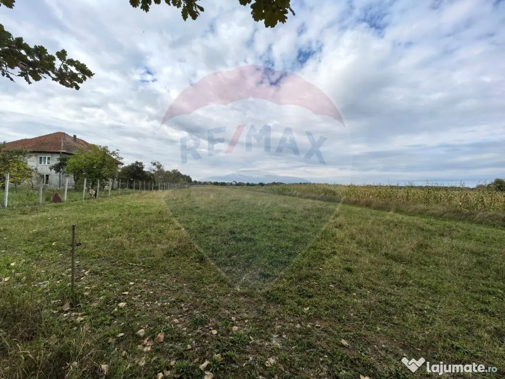 Teren 3,685mp Somcuta Mare / Strada Mocirii 