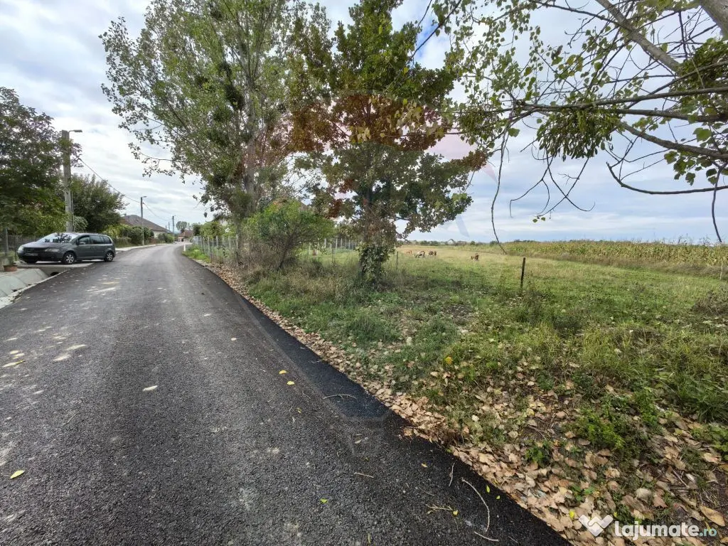 Teren 3,685mp Somcuta Mare / Strada Mocirii 