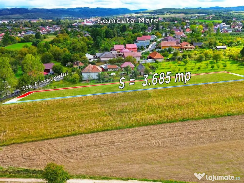 Teren 3,685mp Somcuta Mare / Strada Mocirii 