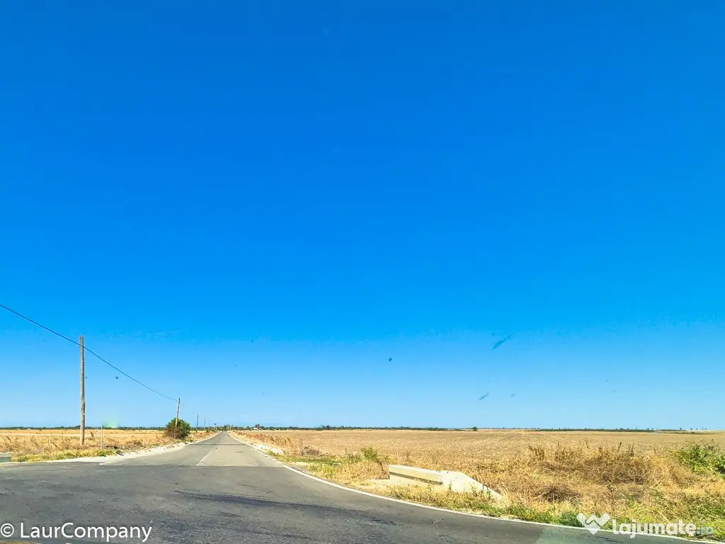 Teren Industrial 12 hectare Teiu Arges