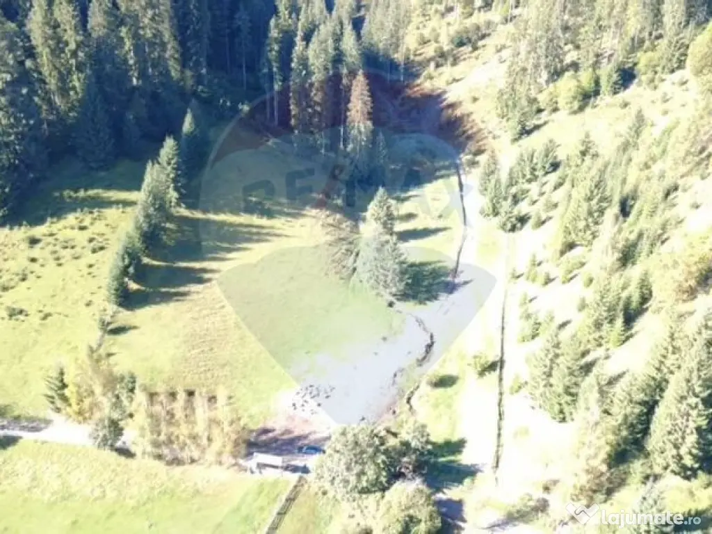 Teren 9555mp, din care 6120m.intravilan Vatra Dornei.