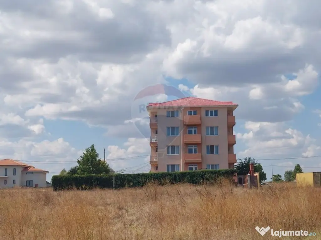 Teren de vis pe malul mării, Goflful Francezului, Costin... 