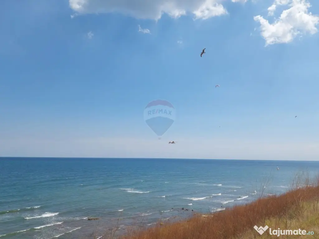 Teren de vis pe malul mării, Goflful Francezului, Costin... 