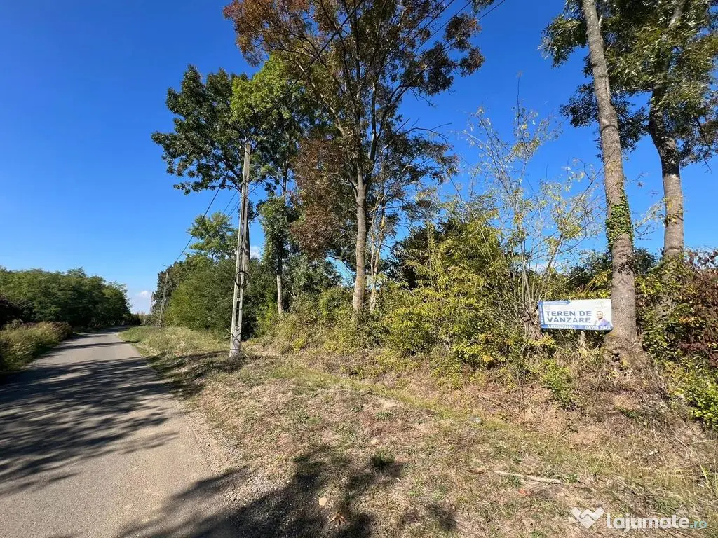 De vanzare Teren Intravilan Viile Satu Mare 2812MP/Dublu ... 