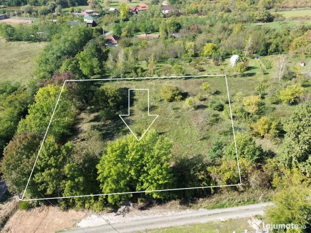 De vanzare Teren Intravilan Viile Satu Mare 2812MP/Dublu ... 