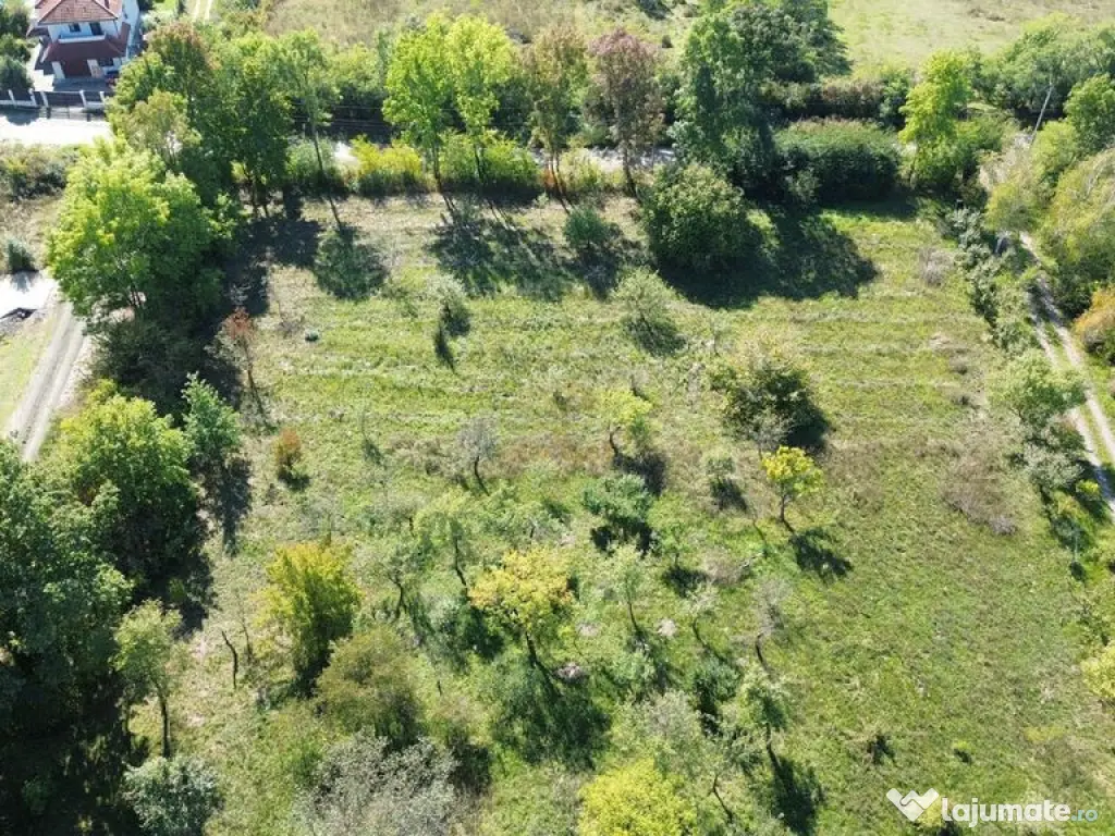 De vanzare Teren Intravilan Viile Satu Mare 2812MP/Dublu ... 