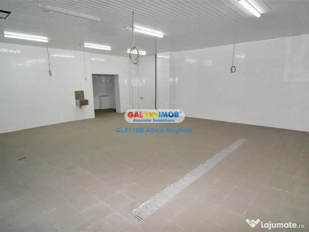 / spatiu productie alimentara P-ta Delfinului 