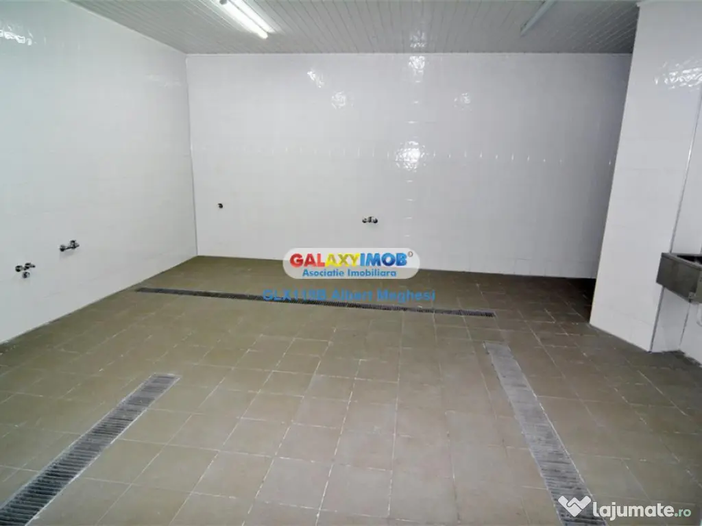 / spatiu productie alimentara P-ta Delfinului 