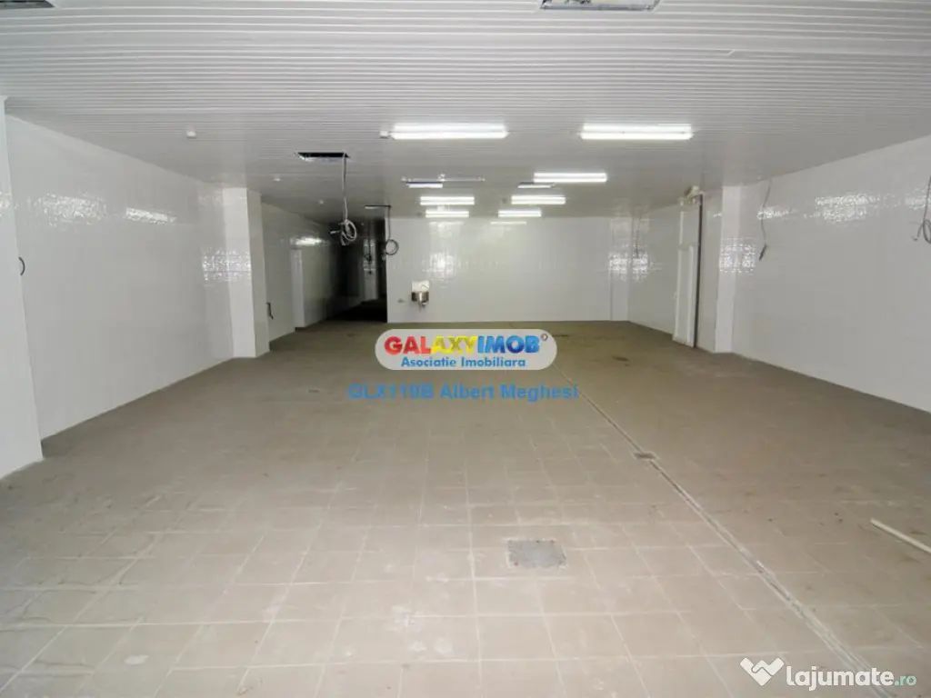 / spatiu productie alimentara P-ta Delfinului 