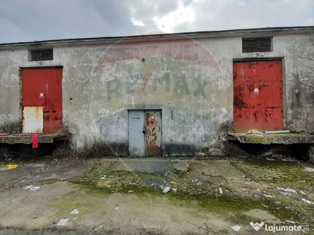 Spațiu industrial hale cu teren in zona Mihai Bravu Ploi... 