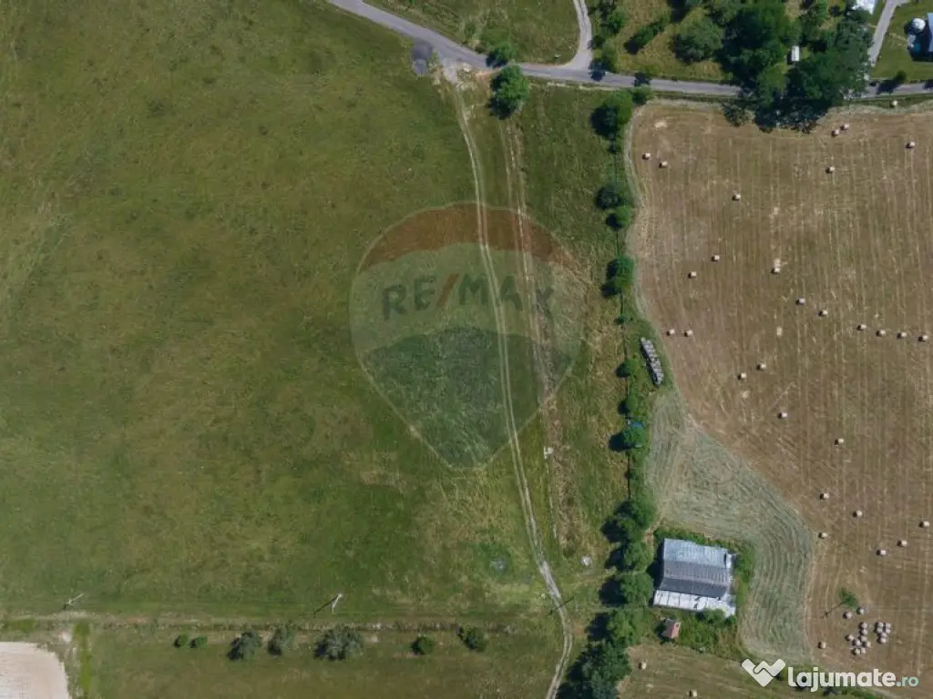 Teren Bran -Sohodol, Strada La mesteceni, 6900mp 