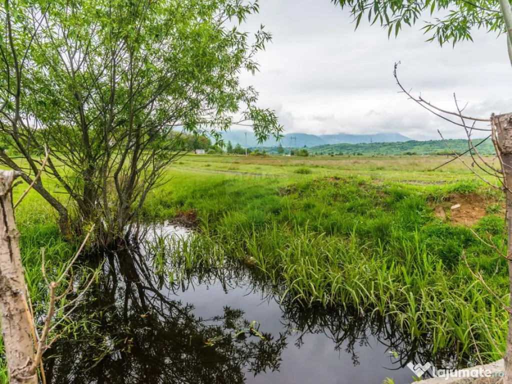 Teren Bran -Sohodol, Strada La mesteceni, 6900mp 