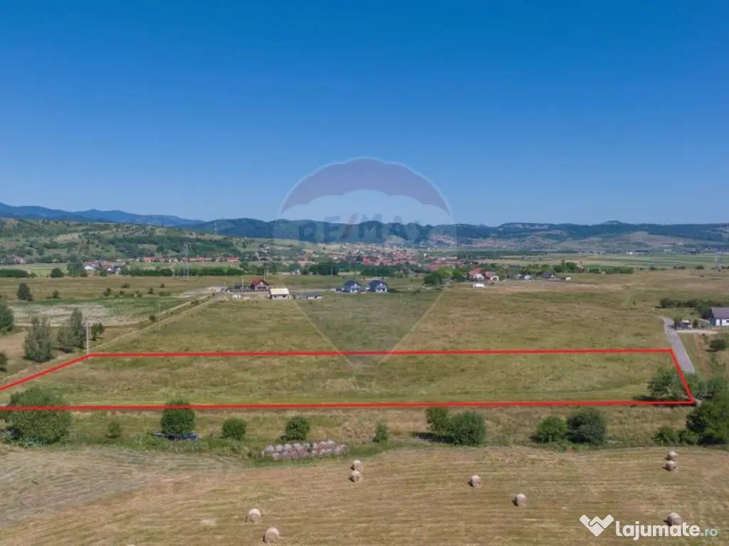 Teren Bran -Sohodol, Strada La mesteceni, 6900mp 