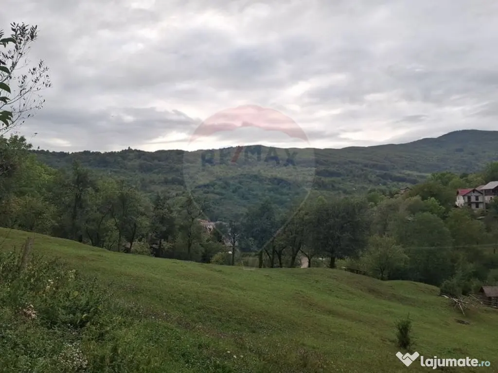 Teren cu priveliste spectaculoasa, 4000mp, la 18km de Sinaia 
