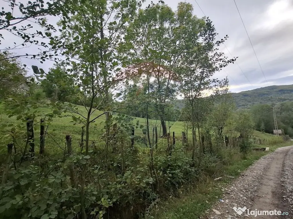 Teren cu priveliste spectaculoasa, 4000mp, la 18km de Sinaia 
