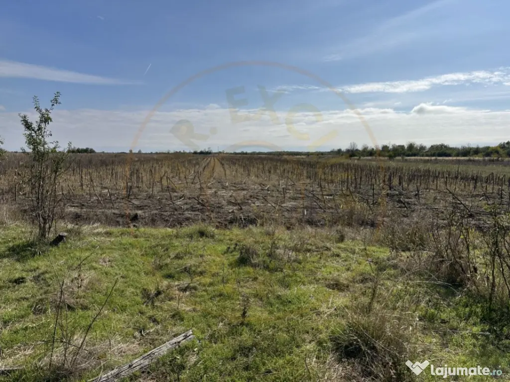 Teren 5216 mp la drum principal com. Ratesti 