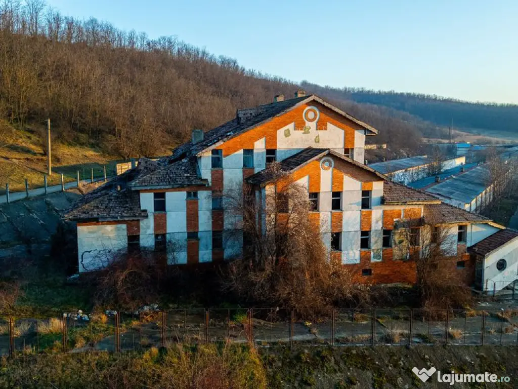 Fosta Ferma a Partidului de la Horgesti - de vanzare 