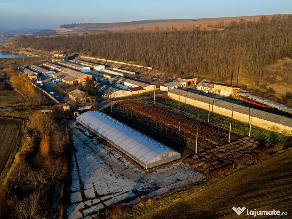 Fosta Ferma a Partidului de la Horgesti - de vanzare 
