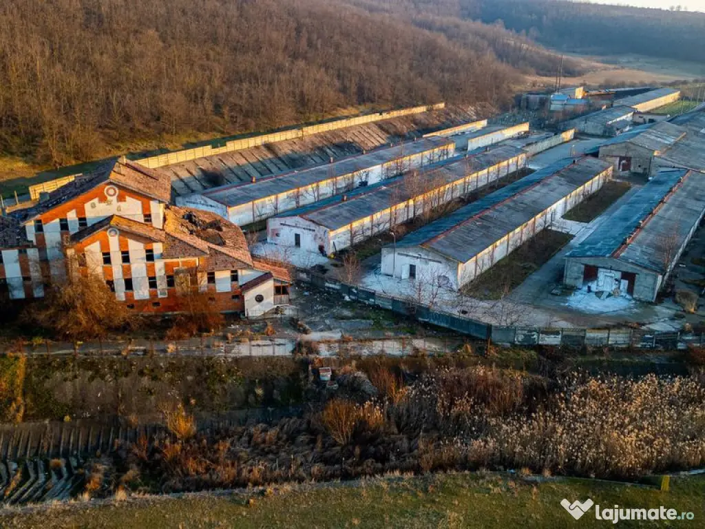 Fosta Ferma a Partidului de la Horgesti - de vanzare 