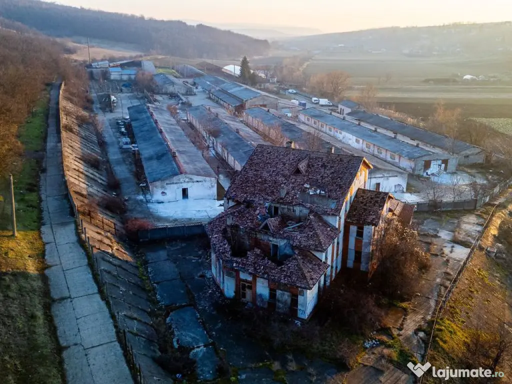 Fosta Ferma a Partidului de la Horgesti - de vanzare 